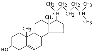 Cholesterol structure