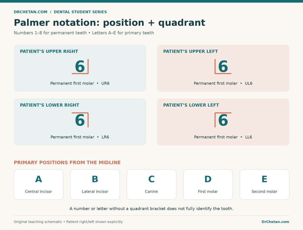 Palmer Notation Brackets