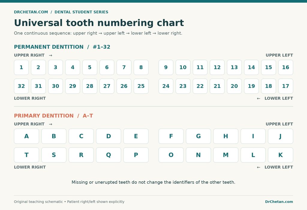 Universal Tooth Numbering Chart